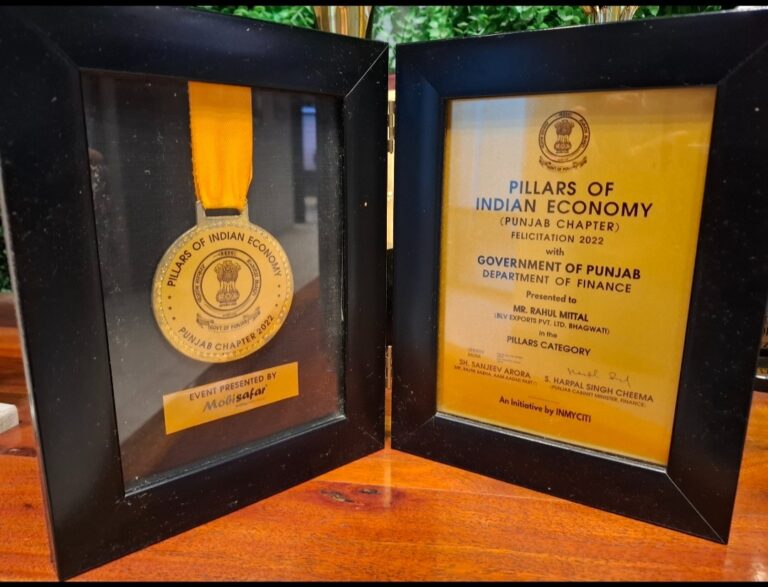 Pillars of Indian Economy