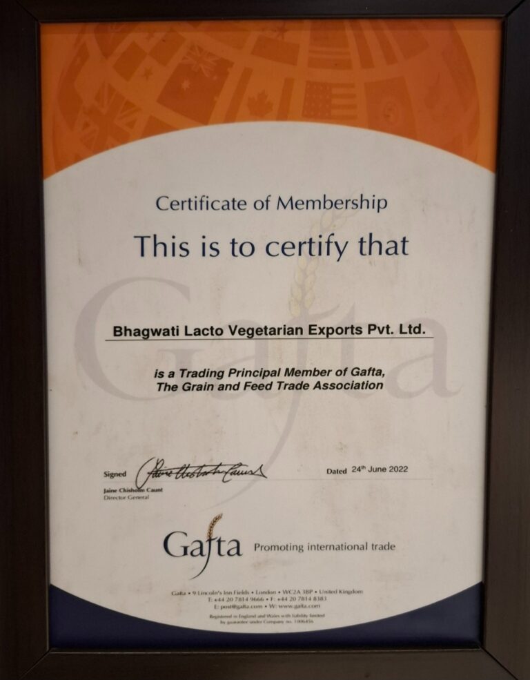 Principal Member of "Gafta"